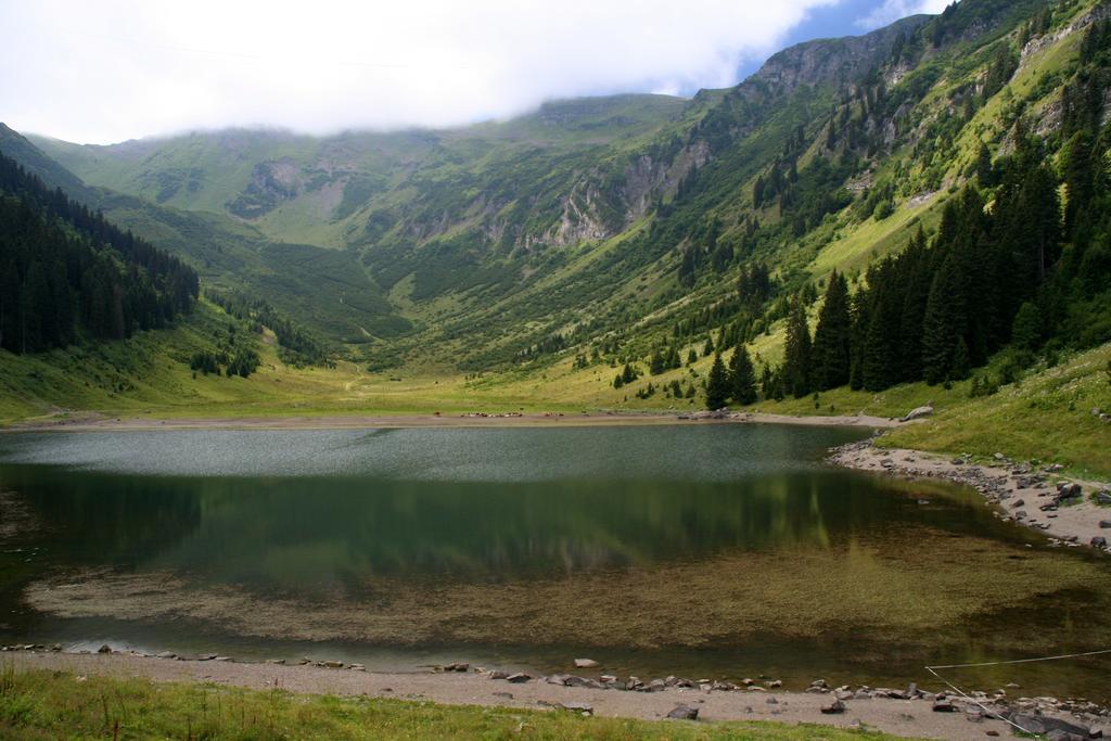 Residence Les Chardons Argentes 2 Samoëns Eksteriør bilde