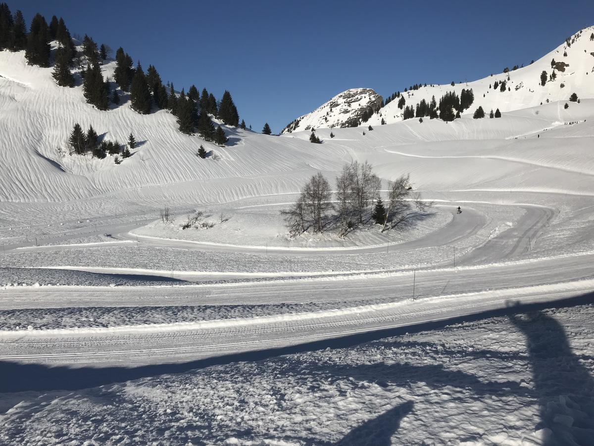 Residence Les Chardons Argentes 2 Samoëns Eksteriør bilde