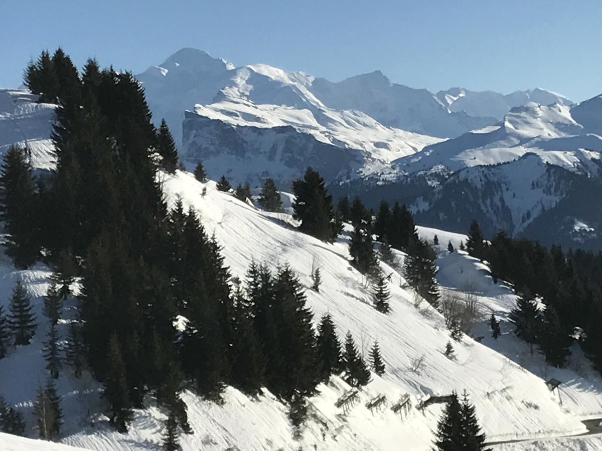 Residence Les Chardons Argentes 2 Samoëns Eksteriør bilde
