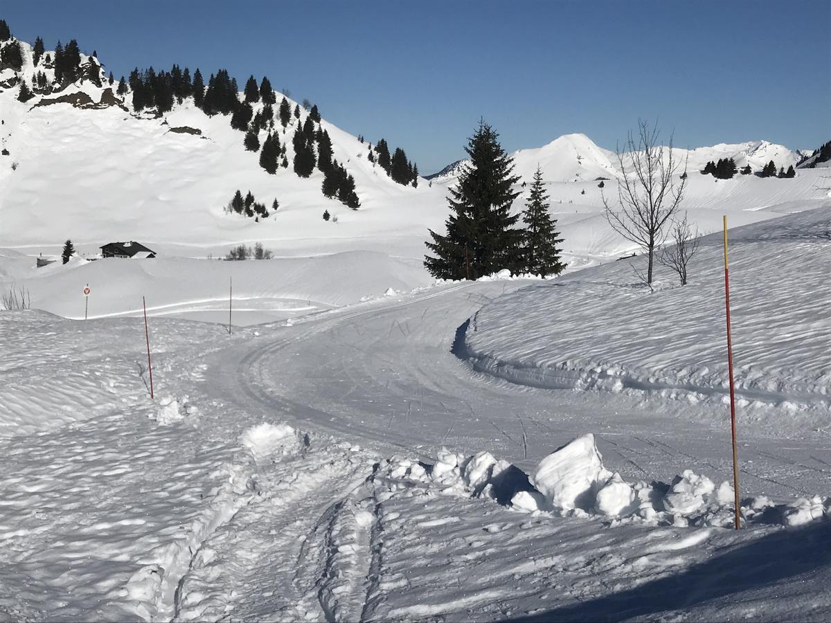 Residence Les Chardons Argentes 2 Samoëns Eksteriør bilde